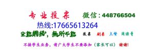 解决问题超级超低价微信滴灌进行投票 5元8毛钱1000票在线服务平台插图