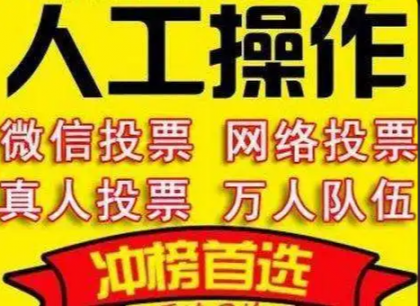 技术分享：投票人工团队5元1000票详细教程插图1